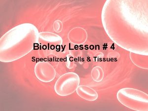 Biology Lesson 4 Specialized Cells Tissues Specialized Cells