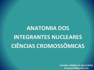 ANATOMIA DOS INTEGRANTES NUCLEARES CINCIAS CROMOSSMICAS IVANISE CORREIA