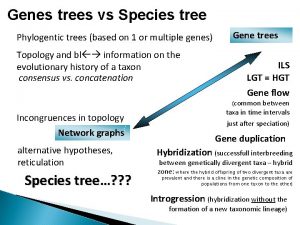 Genes trees vs Species tree Phylogentic trees based