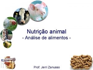 Nutrio animal Anlise de alimentos Prof Jerri Zanusso
