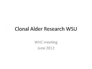 Clonal Alder Research WSU WHC meeting June 2012