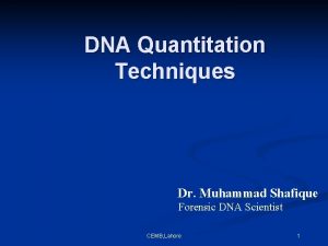 DNA Quantitation Techniques Dr Muhammad Shafique Forensic DNA