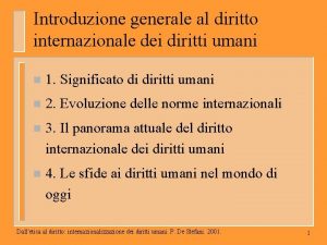 Introduzione generale al diritto internazionale dei diritti umani