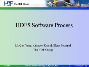 HDF 5 Software Process Mu Qun Yang Quincey