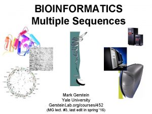 Mark Gerstein Yale University Gerstein Lab orgcourses452 MG