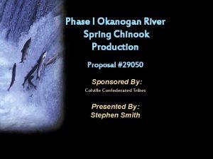 Phase I Okanogan River Spring Chinook Production Proposal