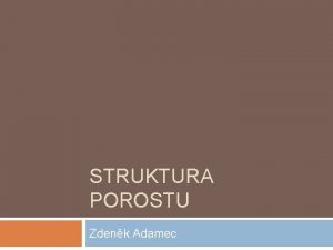 STRUKTURA POROSTU Zdenk Adamec Rstov simultor SIBYLA SImultor