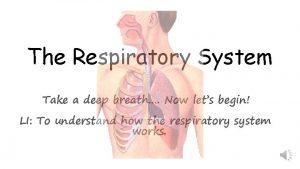 The Respiratory System Take a deep breath Now