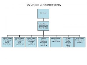 City Director Governance Summary City Director Assistant Director