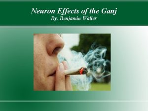 Neuron Effects of the Ganj By Benjamin Waller
