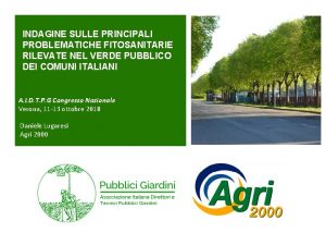 INDAGINE SULLE PRINCIPALI PROBLEMATICHE FITOSANITARIE RILEVATE NEL VERDE