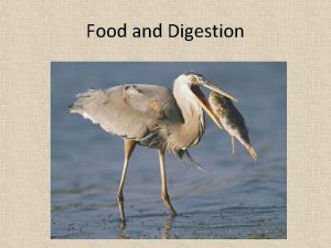 Food and Digestion Why do we need to