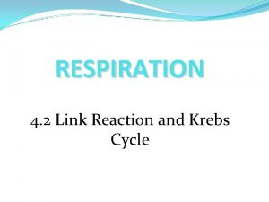 RESPIRATION 4 2 Link Reaction and Krebs Cycle