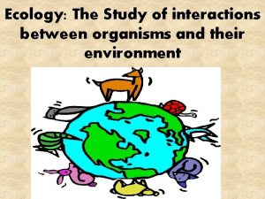 Ecology The Study of interactions between organisms and