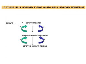 LO STUDIO DELLA PATOLOGIA E OGGI BASATO SULLA