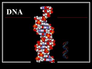DNA 1 Griffith Experiment n n The genetic