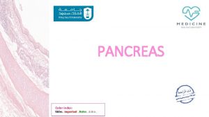 PANCREAS Color index Slides Important Notes Extra Objectives