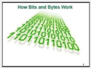 How Bits and Bytes Work 1 Bits The