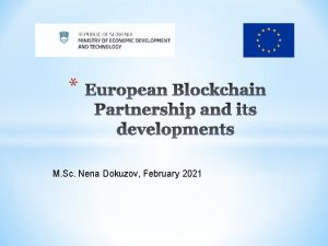 M Sc Nena Dokuzov February 2021 European Blockchain