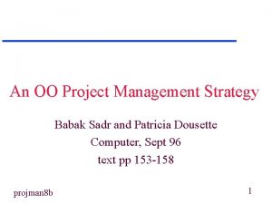 An OO Project Management Strategy Babak Sadr and