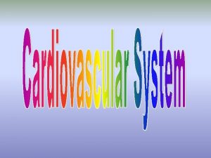 Cardiovascular system Blood vascular system consists of a
