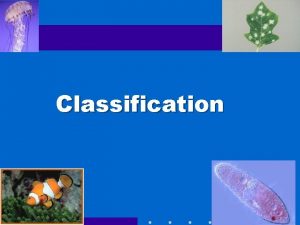 Classification Go to Section The Challenge Biologists have