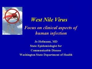 West Nile Virus Focus on clinical aspects of