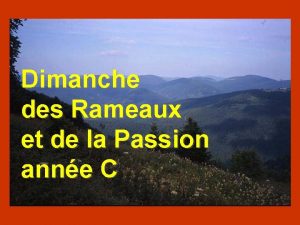 Dimanche des Rameaux et de la Passion anne