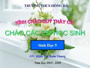 TRNG THCS HNG H Sinh Hc 9 GV