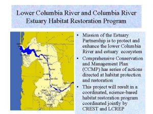 Lower Columbia River and Columbia River Estuary Habitat