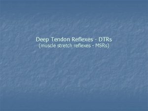 Deep Tendon Reflexes DTRs muscle stretch reflexes MSRs