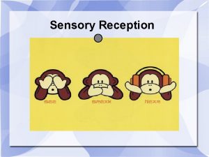 Sensory Reception How you sense Sensory Receptors nerve