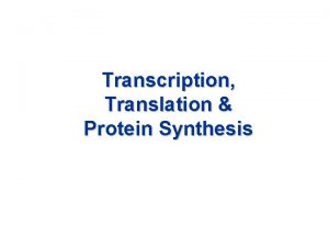 Transcription Translation Protein Synthesis Protein Synthesis Protein synthesis