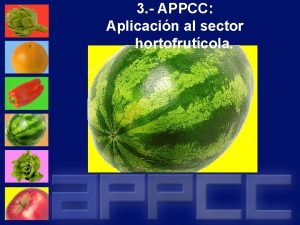 3 APPCC Aplicacin al sector hortofrutcola Aplicacin al