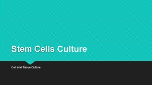 Stem Cells Culture Cell and Tissue Culture History