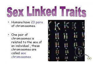 Humans have 23 pairs of chromosomes One pair