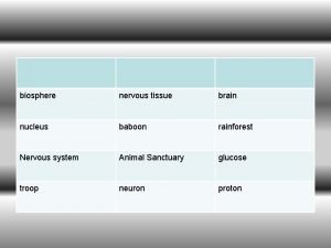 biosphere nervous tissue brain nucleus baboon rainforest Nervous