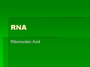 RNA Ribonucleic Acid Structure of RNA Single stranded