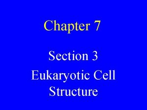 Chapter 7 Section 3 Eukaryotic Cell Structure Plasma