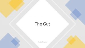 The Gut Talia Ronen The Gut Why should