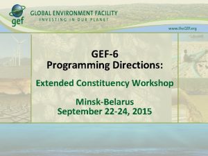 GEF6 Programming Directions Extended Constituency Workshop MinskBelarus September