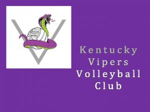 KENTUCKY VIPERS VOLLEYBALL CLUB Club Owner Perry Wing