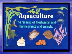 Mariculture The husbandry of marine or saltwater organisms