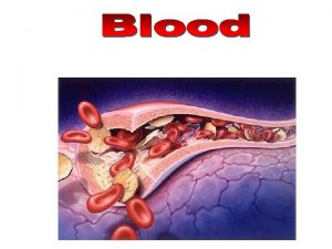 Artery White blood cells Platelets Red blood cells