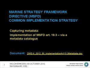 MARINE STRATEGY FRAMEWORK DIRECTIVE MSFD COMMON IMPLEMENTATION STRATEGY