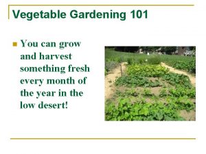 Vegetable Gardening 101 n You can grow and