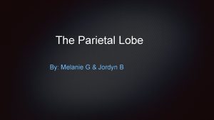 The Parietal Lobe By Melanie G Jordyn B