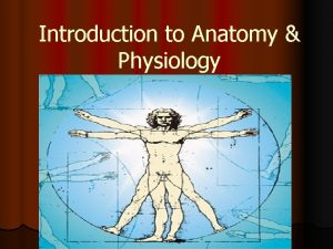 Introduction to Anatomy Physiology ANATOMY THE STUDY OF