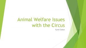 Animal Welfare Issues with the Circus Kyrsti Cotton