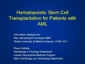 Hematopoietic Stem Cell Transplantation for Patients with AML
